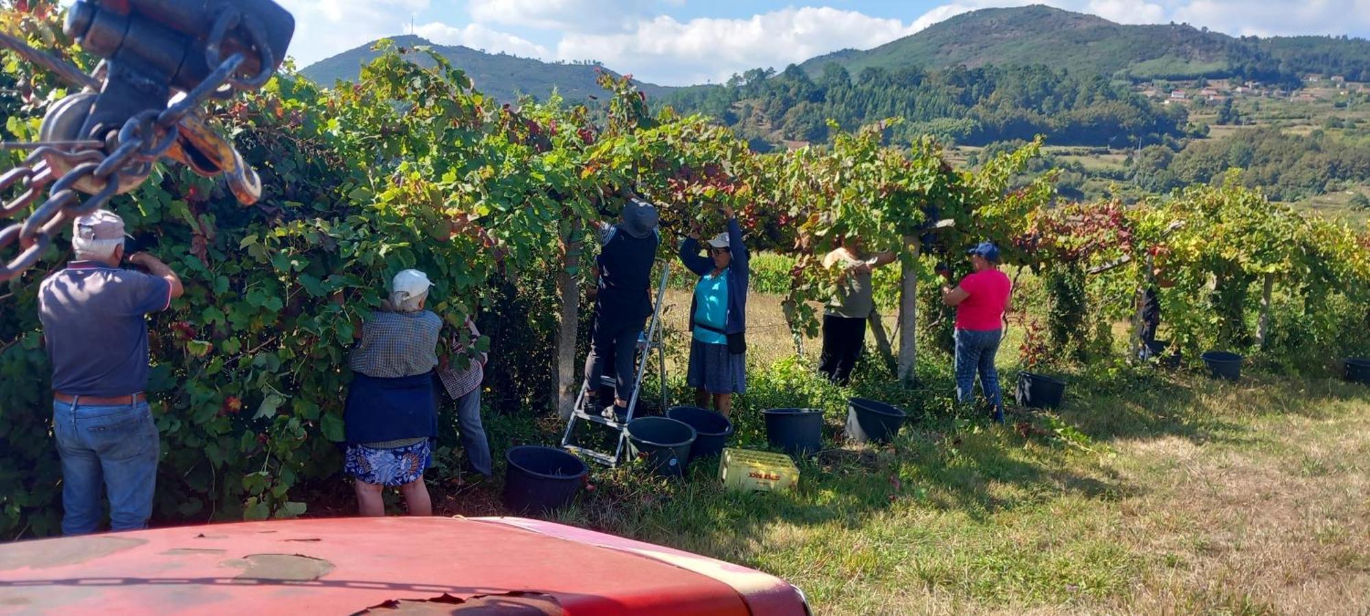 Casinha Ponte Nova Villa Monção Dış mekan fotoğraf